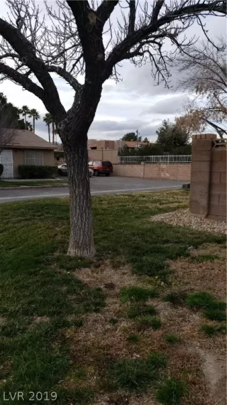 Photo #5: 2069917 Listing 