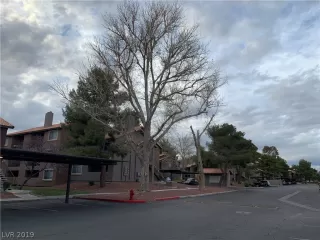 Photo #1: 2076198 Listing 