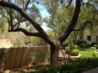 Photo #1: 2085902 Listing