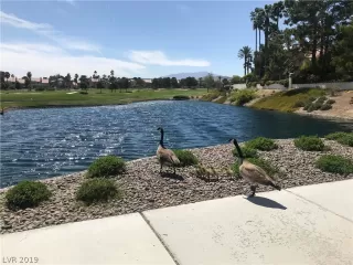 Photo #6: 2086071 Listing 