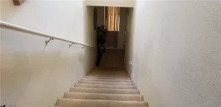 Photo #3: 2095788 Listing 