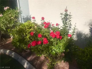 Photo #1: 2103478 Listing