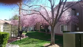 Photo #2: 2104567 Listing 