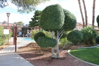 Photo #1: 2120186 Listing