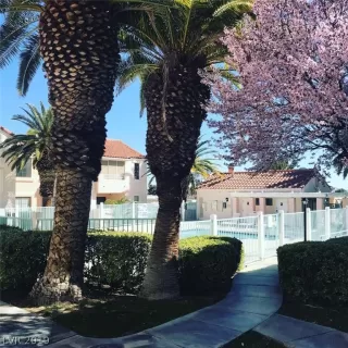 Photo #1: 2120225 Listing 