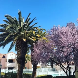 Photo #5: 2120225 Listing 