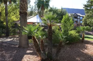 Photo #3: 2124354 Listing