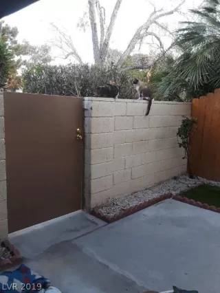 Photo #4: 2130203 Listing