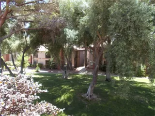 Photo #4: 2131494 Listing 