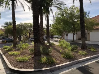 Photo #1: 2135602 Listing 