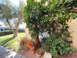 Photo #2: 2141471 Listing 