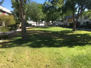 Photo #5: 2142525 Listing 