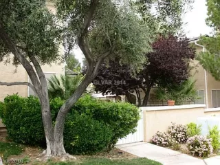 Photo #1: 2143352 Listing 