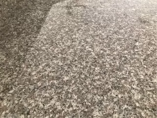 Photo #6: 2146142 Listing