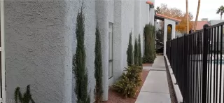 Photo #1: 2154125 Listing 