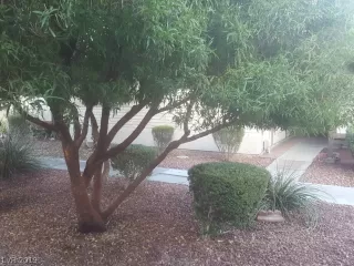 Photo #4: 2155618 Listing