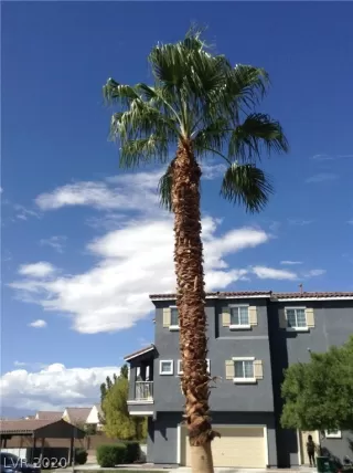 Photo #1: 2176998 Listing