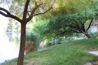 Photo #4: 2197100 Listing