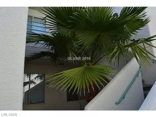 Photo #5: 2203527 Listing