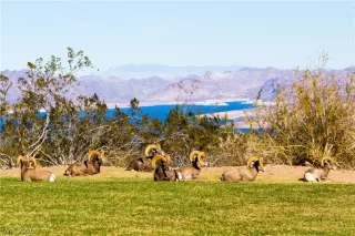 Photo #6: 2204794 Listing