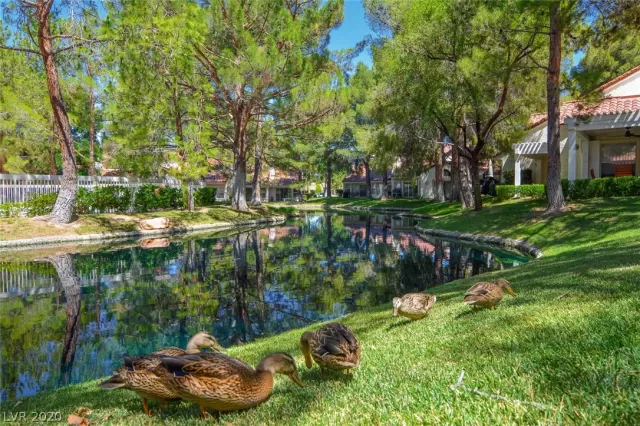 MLS: 2205910 Condo For Sale