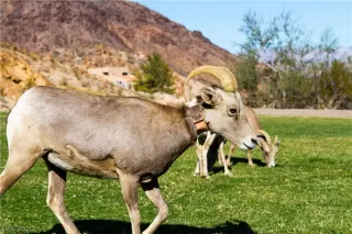 Photo #3: 2207082 Listing