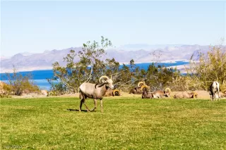 Photo #4: 2207082 Listing