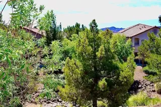 Photo #4: 2212776 Listing