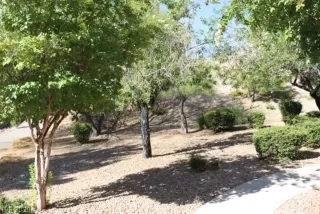 Photo #5: 2212776 Listing