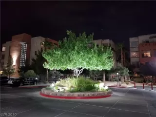 Photo #1: 2214655 Listing