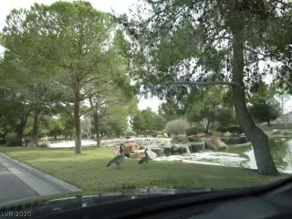 Photo #1: 2219651 Listing 