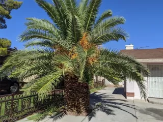 Photo #6: 2221549 Listing