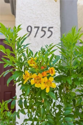 Photo #1: 2222663 Listing