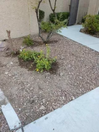 Photo #1: 2234112 Listing