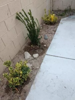 Photo #2: 2234112 Listing