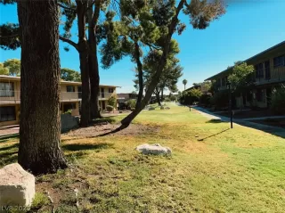 Photo #1: 2234995 Listing 