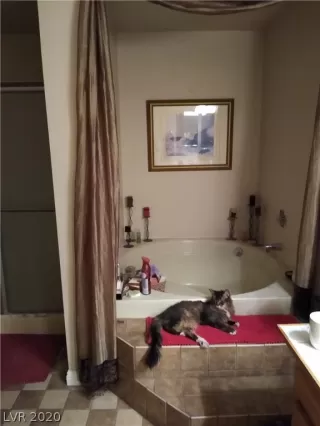 Photo #5: 2237272 Listing 