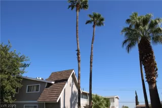 Photo #3: 2239887 Listing 