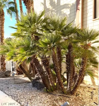 Photo #3: 2246273 Listing 