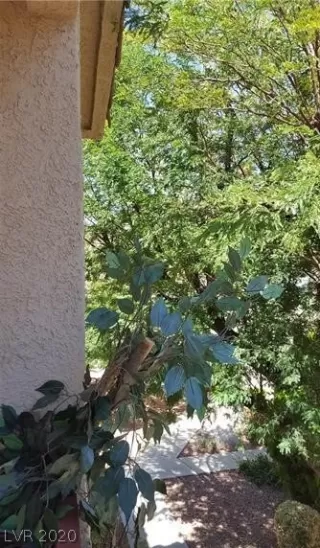 Photo #5: 2246437 Listing