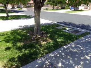 Photo #2: 2251108 Listing 