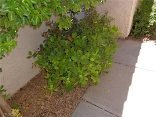 Photo #4: 2251108 Listing 