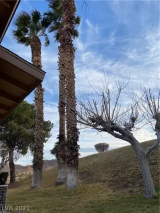 Photo #2: 2266171 Listing