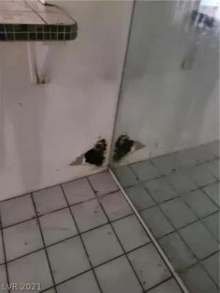 Photo #3: 2269129 Listing 