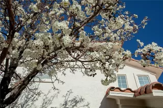 Photo #1: 2277757 Listing 