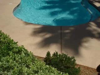 Photo #4: 2294415 Listing 