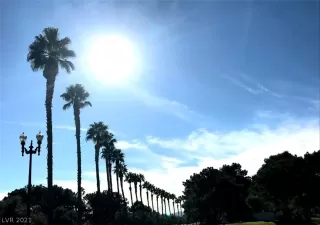 Photo #1: 2296588 Listing 