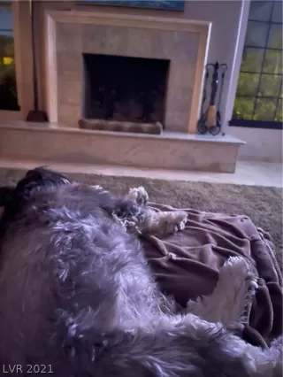 Photo #6: 2298016 Listing