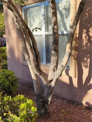 Photo #3: 2304862 Listing 