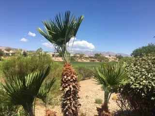 Photo #3: 2308234 Listing